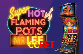 APP oficial da CCbet para mobile